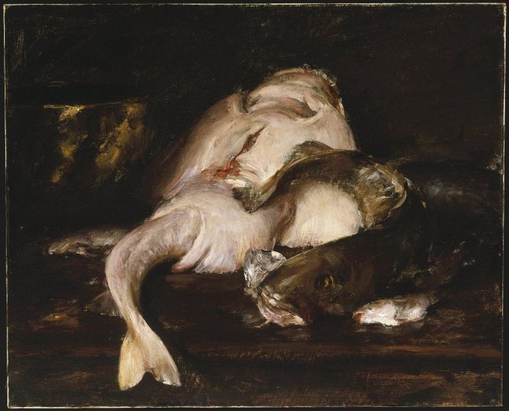 Still Life Fish